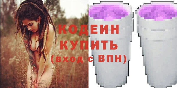 крисы Баксан