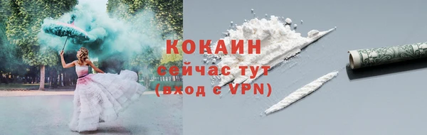 крисы Баксан