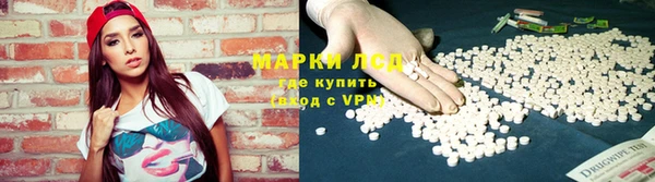 крисы Баксан
