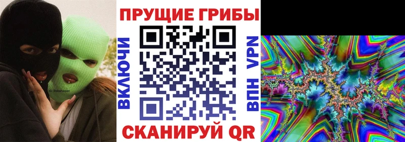 наркошоп  Инза  kraken как войти  Галлюциногенные грибы Cubensis 